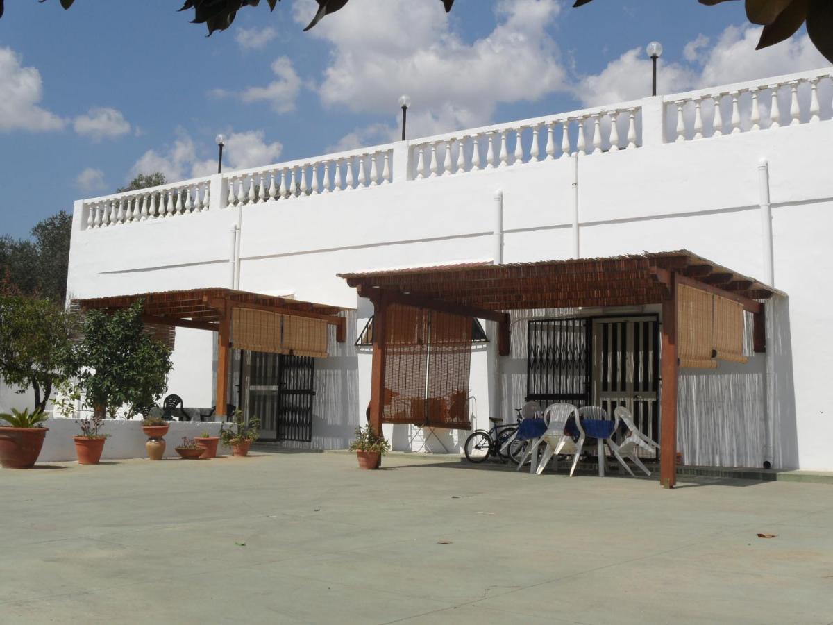 סן ויטו דיי נורמני Azienda Agrituristica Masseria Campi מראה חיצוני תמונה